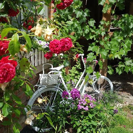 Romantisches Rosencottage Hofheim in Unterfranken Exterior foto